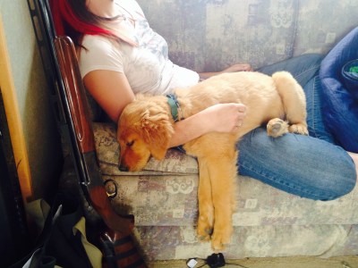 One Tired Puppy, or is it Two?