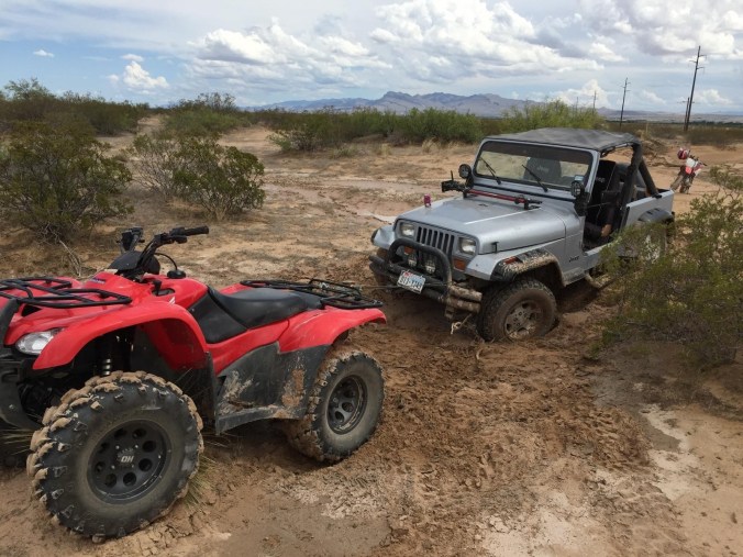 This is what they do while Dave and I are out of town.